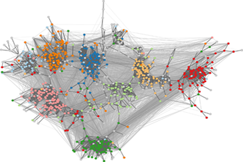 Cohesion Adapted Layout for Network Visualization